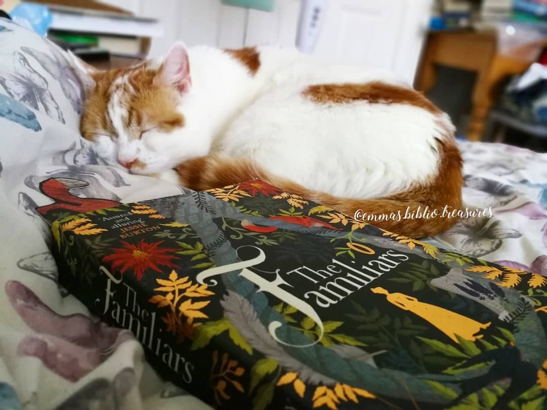 IMG_20190818_122958_815