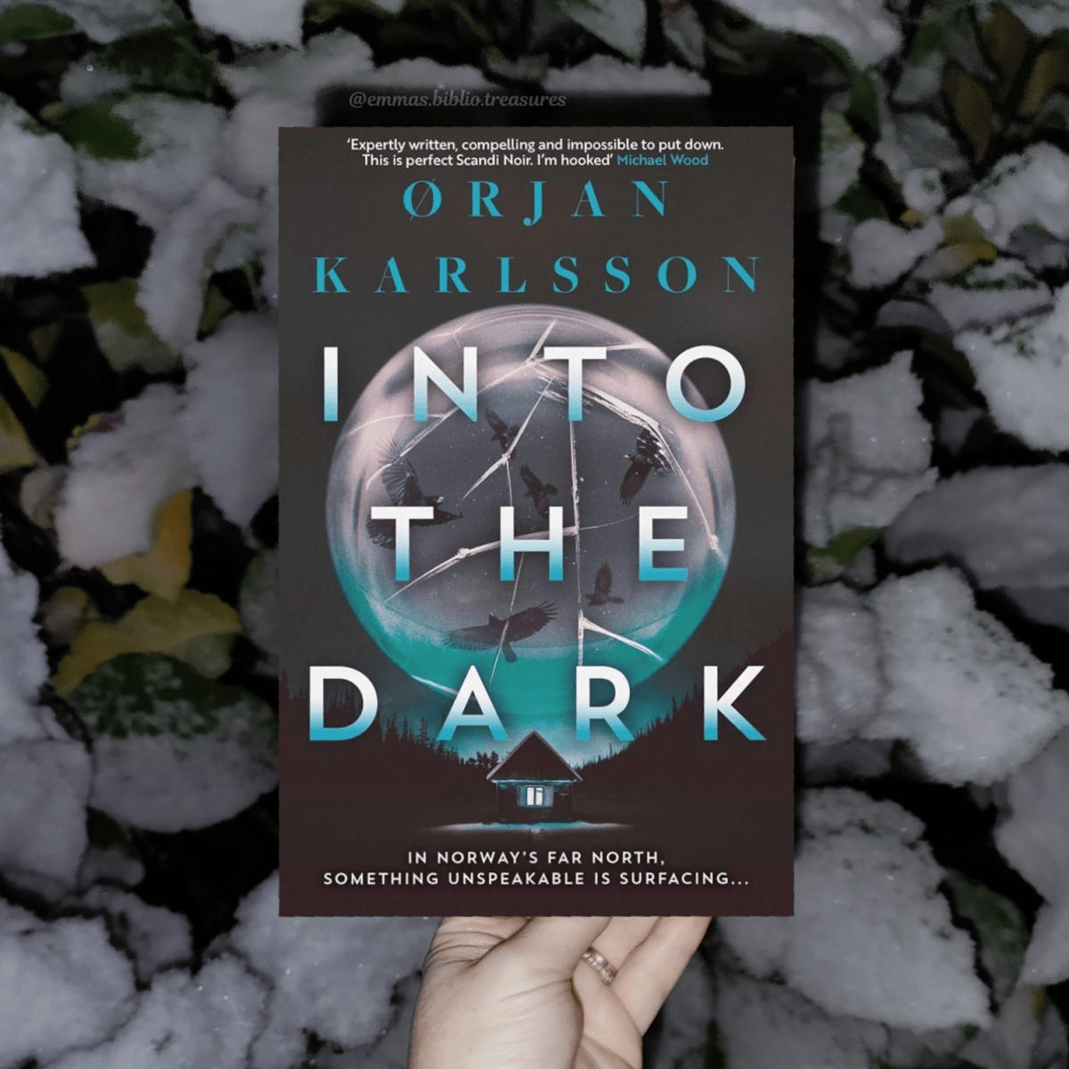 BLOG TOUR: Into the Dark by Orjan&nbsp;Karlsson