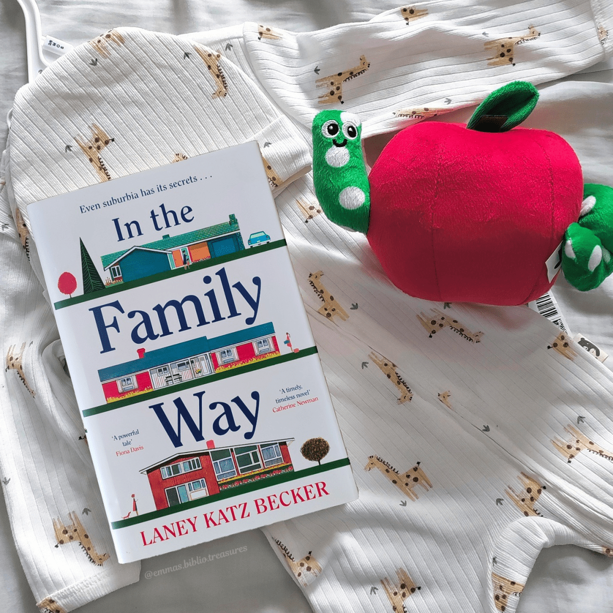 BOOK REVIEW: In the Family Way by Laney Katz&nbsp;Becker