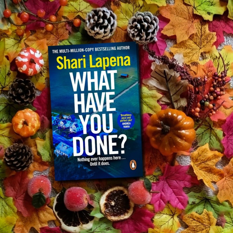 BOOK REVIEW: What Have You Done? by Shari&nbsp;Lapena