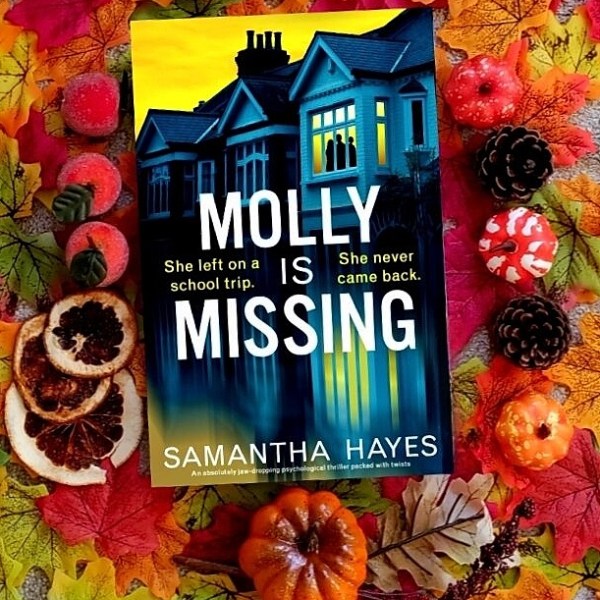 BLOG TOUR REVIEW: Molly is Missing by Samantha&nbsp;Hayes